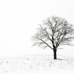 karaoke,Shake the Frost (live),Tyler Childers,backing track,instrumental,playback,mp3,lyrics,sing along,singing,cover,karafun,karafun karaoke,Tyler Childers karaoke,karafun Tyler Childers,Shake the Frost (live) karaoke,karaoke Shake the Frost (live),karaoke Tyler Childers Shake the Frost (live),karaoke Shake the Frost (live) Tyler Childers,Tyler Childers Shake the Frost (live) karaoke,Shake the Frost (live) Tyler Childers karaoke,Shake the Frost (live) lyrics,Shake the Frost (live) cover,