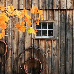 karaoke,Don't Think I Don't Think About It,Darius Rucker,backing track,instrumental,playback,mp3,lyrics,sing along,singing,cover,karafun,karafun karaoke,Darius Rucker karaoke,karafun Darius Rucker,Don't Think I Don't Think About It karaoke,karaoke Don't Think I Don't Think About It,karaoke Darius Rucker Don't Think I Don't Think About It,karaoke Don't Think I Don't Think About It Darius Rucker,Darius Rucker Don't Think I Don't Think About It karaoke,Don't Think I Don't Think About It Darius Rucker karaoke,Don't Think I Don't Think About It lyrics,Don't Think I Don't Think About It cover,