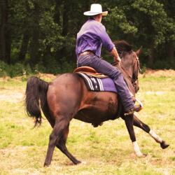 karaoke,All You Ever Do Is Bring Me Down,The Mavericks,backing track,instrumental,playback,mp3,lyrics,sing along,singing,cover,karafun,karafun karaoke,The Mavericks karaoke,karafun The Mavericks,All You Ever Do Is Bring Me Down karaoke,karaoke All You Ever Do Is Bring Me Down,karaoke The Mavericks All You Ever Do Is Bring Me Down,karaoke All You Ever Do Is Bring Me Down The Mavericks,The Mavericks All You Ever Do Is Bring Me Down karaoke,All You Ever Do Is Bring Me Down The Mavericks karaoke,All You Ever Do Is Bring Me Down lyrics,All You Ever Do Is Bring Me Down cover,