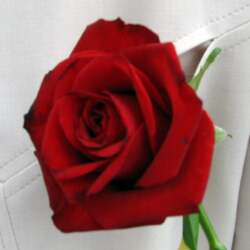 karaoke,Love and Marriage,Frank Sinatra,backing track,instrumental,playback,mp3,lyrics,sing along,singing,cover,karafun,karafun karaoke,Frank Sinatra karaoke,karafun Frank Sinatra,Love and Marriage karaoke,karaoke Love and Marriage,karaoke Frank Sinatra Love and Marriage,karaoke Love and Marriage Frank Sinatra,Frank Sinatra Love and Marriage karaoke,Love and Marriage Frank Sinatra karaoke,Love and Marriage lyrics,Love and Marriage cover,