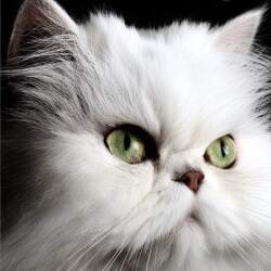 karaoke,Gabriela,KATSEYE,backing track,instrumental,playback,mp3,lyrics,sing along,singing,cover,karafun,karafun karaoke,KATSEYE karaoke,karafun KATSEYE,Gabriela karaoke,karaoke Gabriela,karaoke KATSEYE Gabriela,karaoke Gabriela KATSEYE,KATSEYE Gabriela karaoke,Gabriela KATSEYE karaoke,Gabriela lyrics,Gabriela cover,