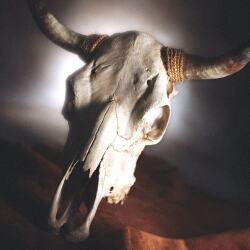 karaoke,My Give A Damn's Busted,Jo Dee Messina,backing track,instrumental,playback,mp3,lyrics,sing along,singing,cover,karafun,karafun karaoke,Jo Dee Messina karaoke,karafun Jo Dee Messina,My Give A Damn's Busted karaoke,karaoke My Give A Damn's Busted,karaoke Jo Dee Messina My Give A Damn's Busted,karaoke My Give A Damn's Busted Jo Dee Messina,Jo Dee Messina My Give A Damn's Busted karaoke,My Give A Damn's Busted Jo Dee Messina karaoke,My Give A Damn's Busted lyrics,My Give A Damn's Busted cover,