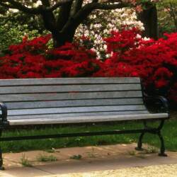 karaoke,Where Do Broken Hearts Go,Whitney Houston,backing track,instrumental,playback,mp3,lyrics,sing along,singing,cover,karafun,karafun karaoke,Whitney Houston karaoke,karafun Whitney Houston,Where Do Broken Hearts Go karaoke,karaoke Where Do Broken Hearts Go,karaoke Whitney Houston Where Do Broken Hearts Go,karaoke Where Do Broken Hearts Go Whitney Houston,Whitney Houston Where Do Broken Hearts Go karaoke,Where Do Broken Hearts Go Whitney Houston karaoke,Where Do Broken Hearts Go lyrics,Where Do Broken Hearts Go cover,