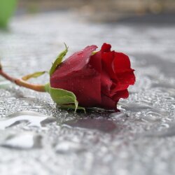 karaoke,Love, Me,Collin Raye,backing track,instrumental,playback,mp3,lyrics,sing along,singing,cover,karafun,karafun karaoke,Collin Raye karaoke,karafun Collin Raye,Love, Me karaoke,karaoke Love, Me,karaoke Collin Raye Love, Me,karaoke Love, Me Collin Raye,Collin Raye Love, Me karaoke,Love, Me Collin Raye karaoke,Love, Me lyrics,Love, Me cover,