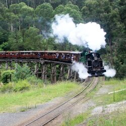 karaoke,Orange Blossom Special,Johnny Cash,backing track,instrumental,playback,mp3,lyrics,sing along,singing,cover,karafun,karafun karaoke,Johnny Cash karaoke,karafun Johnny Cash,Orange Blossom Special karaoke,karaoke Orange Blossom Special,karaoke Johnny Cash Orange Blossom Special,karaoke Orange Blossom Special Johnny Cash,Johnny Cash Orange Blossom Special karaoke,Orange Blossom Special Johnny Cash karaoke,Orange Blossom Special lyrics,Orange Blossom Special cover,