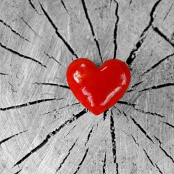 karaoke,Your Cheatin' Heart,LeAnn Rimes,backing track,instrumental,playback,mp3,lyrics,sing along,singing,cover,karafun,karafun karaoke,LeAnn Rimes karaoke,karafun LeAnn Rimes,Your Cheatin' Heart karaoke,karaoke Your Cheatin' Heart,karaoke LeAnn Rimes Your Cheatin' Heart,karaoke Your Cheatin' Heart LeAnn Rimes,LeAnn Rimes Your Cheatin' Heart karaoke,Your Cheatin' Heart LeAnn Rimes karaoke,Your Cheatin' Heart lyrics,Your Cheatin' Heart cover,