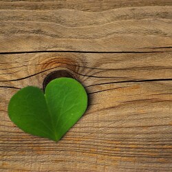 karaoke,Hello Darlin',Conway Twitty,backing track,instrumental,playback,mp3,lyrics,sing along,singing,cover,karafun,karafun karaoke,Conway Twitty karaoke,karafun Conway Twitty,Hello Darlin' karaoke,karaoke Hello Darlin',karaoke Conway Twitty Hello Darlin',karaoke Hello Darlin' Conway Twitty,Conway Twitty Hello Darlin' karaoke,Hello Darlin' Conway Twitty karaoke,Hello Darlin' lyrics,Hello Darlin' cover,