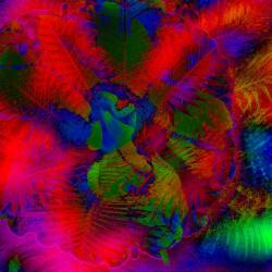 karaoke,Ripple,Grateful Dead,backing track,instrumental,playback,mp3,lyrics,sing along,singing,cover,karafun,karafun karaoke,Grateful Dead karaoke,karafun Grateful Dead,Ripple karaoke,karaoke Ripple,karaoke Grateful Dead Ripple,karaoke Ripple Grateful Dead,Grateful Dead Ripple karaoke,Ripple Grateful Dead karaoke,Ripple lyrics,Ripple cover,