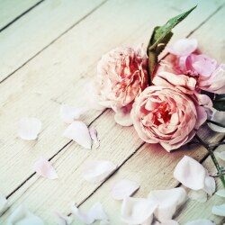 karaoke,Con il nastro rosa,Lucio Battisti,backing track,instrumental,playback,mp3,lyrics,sing along,singing,cover,karafun,karafun karaoke,Lucio Battisti karaoke,karafun Lucio Battisti,Con il nastro rosa karaoke,karaoke Con il nastro rosa,karaoke Lucio Battisti Con il nastro rosa,karaoke Con il nastro rosa Lucio Battisti,Lucio Battisti Con il nastro rosa karaoke,Con il nastro rosa Lucio Battisti karaoke,Con il nastro rosa lyrics,Con il nastro rosa cover,