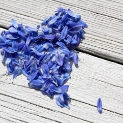 karaoke,One and Only,Adele,backing track,instrumental,playback,mp3,lyrics,sing along,singing,cover,karafun,karafun karaoke,Adele karaoke,karafun Adele,One and Only karaoke,karaoke One and Only,karaoke Adele One and Only,karaoke One and Only Adele,Adele One and Only karaoke,One and Only Adele karaoke,One and Only lyrics,One and Only cover,