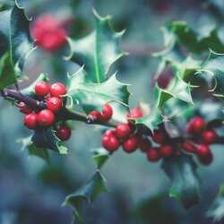 karaoke,Let There Be Peace on Earth,Vince Gill,backing track,instrumental,playback,mp3,lyrics,sing along,singing,cover,karafun,karafun karaoke,Vince Gill karaoke,karafun Vince Gill,Let There Be Peace on Earth karaoke,karaoke Let There Be Peace on Earth,karaoke Vince Gill Let There Be Peace on Earth,karaoke Let There Be Peace on Earth Vince Gill,Vince Gill Let There Be Peace on Earth karaoke,Let There Be Peace on Earth Vince Gill karaoke,Let There Be Peace on Earth lyrics,Let There Be Peace on Earth cover,