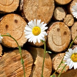 karaoke,Happy,Pharrell Williams,backing track,instrumental,playback,mp3,lyrics,sing along,singing,cover,karafun,karafun karaoke,Pharrell Williams karaoke,karafun Pharrell Williams,Happy karaoke,karaoke Happy,karaoke Pharrell Williams Happy,karaoke Happy Pharrell Williams,Pharrell Williams Happy karaoke,Happy Pharrell Williams karaoke,Happy lyrics,Happy cover,