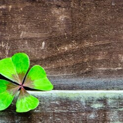 karaoke,Ireland,Garth Brooks,backing track,instrumental,playback,mp3,lyrics,sing along,singing,cover,karafun,karafun karaoke,Garth Brooks karaoke,karafun Garth Brooks,Ireland karaoke,karaoke Ireland,karaoke Garth Brooks Ireland,karaoke Ireland Garth Brooks,Garth Brooks Ireland karaoke,Ireland Garth Brooks karaoke,Ireland lyrics,Ireland cover,