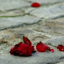 karaoke,Love Is a Losing Game,Amy Winehouse,backing track,instrumental,playback,mp3,lyrics,sing along,singing,cover,karafun,karafun karaoke,Amy Winehouse karaoke,karafun Amy Winehouse,Love Is a Losing Game karaoke,karaoke Love Is a Losing Game,karaoke Amy Winehouse Love Is a Losing Game,karaoke Love Is a Losing Game Amy Winehouse,Amy Winehouse Love Is a Losing Game karaoke,Love Is a Losing Game Amy Winehouse karaoke,Love Is a Losing Game lyrics,Love Is a Losing Game cover,