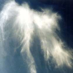 karaoke,Angels Among Us,Alabama,backing track,instrumental,playback,mp3,lyrics,sing along,singing,cover,karafun,karafun karaoke,Alabama karaoke,karafun Alabama,Angels Among Us karaoke,karaoke Angels Among Us,karaoke Alabama Angels Among Us,karaoke Angels Among Us Alabama,Alabama Angels Among Us karaoke,Angels Among Us Alabama karaoke,Angels Among Us lyrics,Angels Among Us cover,