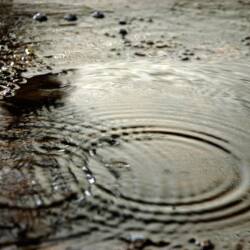 karaoke,I Love a Rainy Night,Eddie Rabbitt,backing track,instrumental,playback,mp3,lyrics,sing along,singing,cover,karafun,karafun karaoke,Eddie Rabbitt karaoke,karafun Eddie Rabbitt,I Love a Rainy Night karaoke,karaoke I Love a Rainy Night,karaoke Eddie Rabbitt I Love a Rainy Night,karaoke I Love a Rainy Night Eddie Rabbitt,Eddie Rabbitt I Love a Rainy Night karaoke,I Love a Rainy Night Eddie Rabbitt karaoke,I Love a Rainy Night lyrics,I Love a Rainy Night cover,