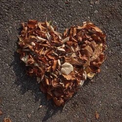 karaoke,Heartland,George Strait,backing track,instrumental,playback,mp3,lyrics,sing along,singing,cover,karafun,karafun karaoke,George Strait karaoke,karafun George Strait,Heartland karaoke,karaoke Heartland,karaoke George Strait Heartland,karaoke Heartland George Strait,George Strait Heartland karaoke,Heartland George Strait karaoke,Heartland lyrics,Heartland cover,