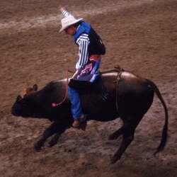 karaoke,The Rodeo Song,Garry Lee & Showdown,backing track,instrumental,playback,mp3,lyrics,sing along,singing,cover,karafun,karafun karaoke,Garry Lee & Showdown karaoke,karafun Garry Lee & Showdown,The Rodeo Song karaoke,karaoke The Rodeo Song,karaoke Garry Lee & Showdown The Rodeo Song,karaoke The Rodeo Song Garry Lee & Showdown,Garry Lee & Showdown The Rodeo Song karaoke,The Rodeo Song Garry Lee & Showdown karaoke,The Rodeo Song lyrics,The Rodeo Song cover,