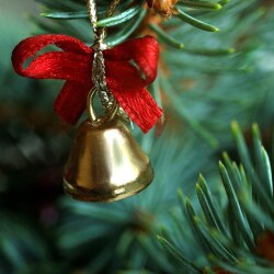 karaoke,Christmas Time's A-Coming,Sammy Kershaw,backing track,instrumental,playback,mp3,lyrics,sing along,singing,cover,karafun,karafun karaoke,Sammy Kershaw karaoke,karafun Sammy Kershaw,Christmas Time's A-Coming karaoke,karaoke Christmas Time's A-Coming,karaoke Sammy Kershaw Christmas Time's A-Coming,karaoke Christmas Time's A-Coming Sammy Kershaw,Sammy Kershaw Christmas Time's A-Coming karaoke,Christmas Time's A-Coming Sammy Kershaw karaoke,Christmas Time's A-Coming lyrics,Christmas Time's A-Coming cover,