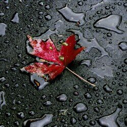 karaoke,Chiseled In Stone,Vern Gosdin,backing track,instrumental,playback,mp3,lyrics,sing along,singing,cover,karafun,karafun karaoke,Vern Gosdin karaoke,karafun Vern Gosdin,Chiseled In Stone karaoke,karaoke Chiseled In Stone,karaoke Vern Gosdin Chiseled In Stone,karaoke Chiseled In Stone Vern Gosdin,Vern Gosdin Chiseled In Stone karaoke,Chiseled In Stone Vern Gosdin karaoke,Chiseled In Stone lyrics,Chiseled In Stone cover,