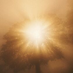 karaoke,I Look to You,Whitney Houston,backing track,instrumental,playback,mp3,lyrics,sing along,singing,cover,karafun,karafun karaoke,Whitney Houston karaoke,karafun Whitney Houston,I Look to You karaoke,karaoke I Look to You,karaoke Whitney Houston I Look to You,karaoke I Look to You Whitney Houston,Whitney Houston I Look to You karaoke,I Look to You Whitney Houston karaoke,I Look to You lyrics,I Look to You cover,