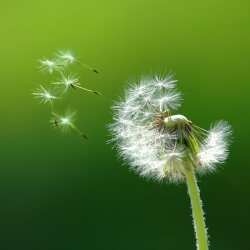 karaoke,Hello Again,Neil Diamond,backing track,instrumental,playback,mp3,lyrics,sing along,singing,cover,karafun,karafun karaoke,Neil Diamond karaoke,karafun Neil Diamond,Hello Again karaoke,karaoke Hello Again,karaoke Neil Diamond Hello Again,karaoke Hello Again Neil Diamond,Neil Diamond Hello Again karaoke,Hello Again Neil Diamond karaoke,Hello Again lyrics,Hello Again cover,