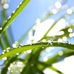 karaoke,Blue Bayou,Linda Ronstadt,backing track,instrumental,playback,mp3,lyrics,sing along,singing,cover,karafun,karafun karaoke,Linda Ronstadt karaoke,karafun Linda Ronstadt,Blue Bayou karaoke,karaoke Blue Bayou,karaoke Linda Ronstadt Blue Bayou,karaoke Blue Bayou Linda Ronstadt,Linda Ronstadt Blue Bayou karaoke,Blue Bayou Linda Ronstadt karaoke,Blue Bayou lyrics,Blue Bayou cover,