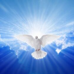 karaoke,In Lonesome Dove,Garth Brooks,backing track,instrumental,playback,mp3,lyrics,sing along,singing,cover,karafun,karafun karaoke,Garth Brooks karaoke,karafun Garth Brooks,In Lonesome Dove karaoke,karaoke In Lonesome Dove,karaoke Garth Brooks In Lonesome Dove,karaoke In Lonesome Dove Garth Brooks,Garth Brooks In Lonesome Dove karaoke,In Lonesome Dove Garth Brooks karaoke,In Lonesome Dove lyrics,In Lonesome Dove cover,