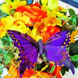 karaoke,Fly Away,John Denver,backing track,instrumental,playback,mp3,lyrics,sing along,singing,cover,karafun,karafun karaoke,John Denver karaoke,karafun John Denver,Fly Away karaoke,karaoke Fly Away,karaoke John Denver Fly Away,karaoke Fly Away John Denver,John Denver Fly Away karaoke,Fly Away John Denver karaoke,Fly Away lyrics,Fly Away cover,