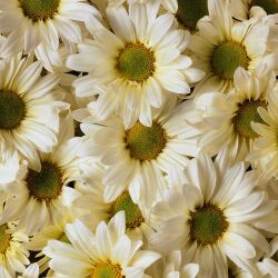 karaoke,Kingston Town,UB40,backing track,instrumental,playback,mp3,lyrics,sing along,singing,cover,karafun,karafun karaoke,UB40 karaoke,karafun UB40,Kingston Town karaoke,karaoke Kingston Town,karaoke UB40 Kingston Town,karaoke Kingston Town UB40,UB40 Kingston Town karaoke,Kingston Town UB40 karaoke,Kingston Town lyrics,Kingston Town cover,