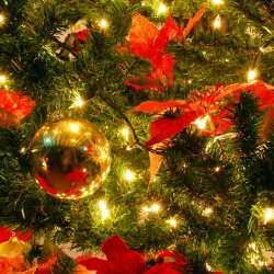 karaoke,Silent Night, Christmas Blue,The Tractors,backing track,instrumental,playback,mp3,lyrics,sing along,singing,cover,karafun,karafun karaoke,The Tractors karaoke,karafun The Tractors,Silent Night, Christmas Blue karaoke,karaoke Silent Night, Christmas Blue,karaoke The Tractors Silent Night, Christmas Blue,karaoke Silent Night, Christmas Blue The Tractors,The Tractors Silent Night, Christmas Blue karaoke,Silent Night, Christmas Blue The Tractors karaoke,Silent Night, Christmas Blue lyrics,Silent Night, Christmas Blue cover,