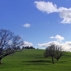 karaoke,Daydream,The Lovin' Spoonful,backing track,instrumental,playback,mp3,lyrics,sing along,singing,cover,karafun,karafun karaoke,The Lovin' Spoonful karaoke,karafun The Lovin' Spoonful,Daydream karaoke,karaoke Daydream,karaoke The Lovin' Spoonful Daydream,karaoke Daydream The Lovin' Spoonful,The Lovin' Spoonful Daydream karaoke,Daydream The Lovin' Spoonful karaoke,Daydream lyrics,Daydream cover,