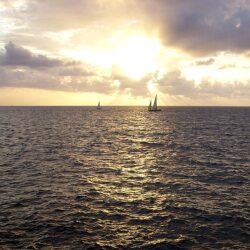 karaoke,One Last Breath,Creed,backing track,instrumental,playback,mp3,lyrics,sing along,singing,cover,karafun,karafun karaoke,Creed karaoke,karafun Creed,One Last Breath karaoke,karaoke One Last Breath,karaoke Creed One Last Breath,karaoke One Last Breath Creed,Creed One Last Breath karaoke,One Last Breath Creed karaoke,One Last Breath lyrics,One Last Breath cover,