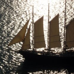 karaoke,Sail Away,The Oak Ridge Boys,backing track,instrumental,playback,mp3,lyrics,sing along,singing,cover,karafun,karafun karaoke,The Oak Ridge Boys karaoke,karafun The Oak Ridge Boys,Sail Away karaoke,karaoke Sail Away,karaoke The Oak Ridge Boys Sail Away,karaoke Sail Away The Oak Ridge Boys,The Oak Ridge Boys Sail Away karaoke,Sail Away The Oak Ridge Boys karaoke,Sail Away lyrics,Sail Away cover,