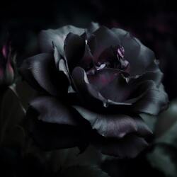 karaoke,Used to Love Her,Guns N' Roses,backing track,instrumental,playback,mp3,lyrics,sing along,singing,cover,karafun,karafun karaoke,Guns N' Roses karaoke,karafun Guns N' Roses,Used to Love Her karaoke,karaoke Used to Love Her,karaoke Guns N' Roses Used to Love Her,karaoke Used to Love Her Guns N' Roses,Guns N' Roses Used to Love Her karaoke,Used to Love Her Guns N' Roses karaoke,Used to Love Her lyrics,Used to Love Her cover,