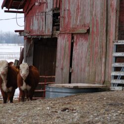 karaoke,C'est La Vie,Shania Twain,backing track,instrumental,playback,mp3,lyrics,sing along,singing,cover,karafun,karafun karaoke,Shania Twain karaoke,karafun Shania Twain,C'est La Vie karaoke,karaoke C'est La Vie,karaoke Shania Twain C'est La Vie,karaoke C'est La Vie Shania Twain,Shania Twain C'est La Vie karaoke,C'est La Vie Shania Twain karaoke,C'est La Vie lyrics,C'est La Vie cover,