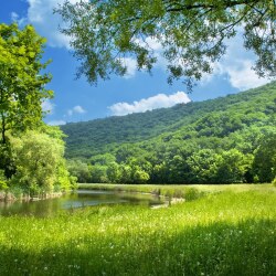 karaoke,Forty Shades of Green,Johnny Cash,backing track,instrumental,playback,mp3,lyrics,sing along,singing,cover,karafun,karafun karaoke,Johnny Cash karaoke,karafun Johnny Cash,Forty Shades of Green karaoke,karaoke Forty Shades of Green,karaoke Johnny Cash Forty Shades of Green,karaoke Forty Shades of Green Johnny Cash,Johnny Cash Forty Shades of Green karaoke,Forty Shades of Green Johnny Cash karaoke,Forty Shades of Green lyrics,Forty Shades of Green cover,