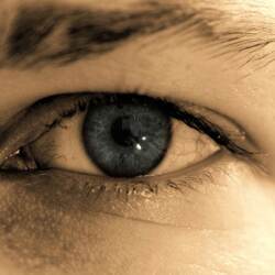 karaoke,Suspicious Minds,Dwight Yoakam,backing track,instrumental,playback,mp3,lyrics,sing along,singing,cover,karafun,karafun karaoke,Dwight Yoakam karaoke,karafun Dwight Yoakam,Suspicious Minds karaoke,karaoke Suspicious Minds,karaoke Dwight Yoakam Suspicious Minds,karaoke Suspicious Minds Dwight Yoakam,Dwight Yoakam Suspicious Minds karaoke,Suspicious Minds Dwight Yoakam karaoke,Suspicious Minds lyrics,Suspicious Minds cover,