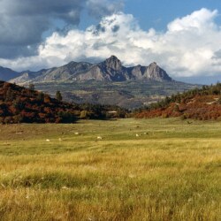 karaoke,South of the Border (Down Mexico Way),Patsy Cline,backing track,instrumental,playback,mp3,lyrics,sing along,singing,cover,karafun,karafun karaoke,Patsy Cline karaoke,karafun Patsy Cline,South of the Border (Down Mexico Way) karaoke,karaoke South of the Border (Down Mexico Way),karaoke Patsy Cline South of the Border (Down Mexico Way),karaoke South of the Border (Down Mexico Way) Patsy Cline,Patsy Cline South of the Border (Down Mexico Way) karaoke,South of the Border (Down Mexico Way) Patsy Cline karaoke,South of the Border (Down Mexico Way) lyrics,South of the Border (Down Mexico Way) cover,