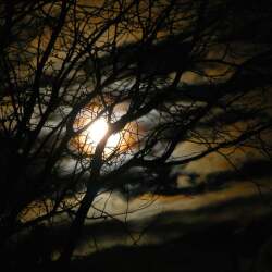 karaoke,Tonight The Bottle Let Me Down,Brooks & Dunn,backing track,instrumental,playback,mp3,lyrics,sing along,singing,cover,karafun,karafun karaoke,Brooks & Dunn karaoke,karafun Brooks & Dunn,Tonight The Bottle Let Me Down karaoke,karaoke Tonight The Bottle Let Me Down,karaoke Brooks & Dunn Tonight The Bottle Let Me Down,karaoke Tonight The Bottle Let Me Down Brooks & Dunn,Brooks & Dunn Tonight The Bottle Let Me Down karaoke,Tonight The Bottle Let Me Down Brooks & Dunn karaoke,Tonight The Bottle Let Me Down lyrics,Tonight The Bottle Let Me Down cover,