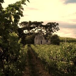 karaoke,Bring It On Home,Little Big Town,backing track,instrumental,playback,mp3,lyrics,sing along,singing,cover,karafun,karafun karaoke,Little Big Town karaoke,karafun Little Big Town,Bring It On Home karaoke,karaoke Bring It On Home,karaoke Little Big Town Bring It On Home,karaoke Bring It On Home Little Big Town,Little Big Town Bring It On Home karaoke,Bring It On Home Little Big Town karaoke,Bring It On Home lyrics,Bring It On Home cover,