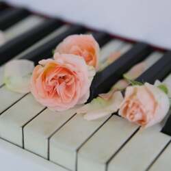 karaoke,Can't Help Falling in Love,Haley Reinhart,backing track,instrumental,playback,mp3,lyrics,sing along,singing,cover,karafun,karafun karaoke,Haley Reinhart karaoke,karafun Haley Reinhart,Can't Help Falling in Love karaoke,karaoke Can't Help Falling in Love,karaoke Haley Reinhart Can't Help Falling in Love,karaoke Can't Help Falling in Love Haley Reinhart,Haley Reinhart Can't Help Falling in Love karaoke,Can't Help Falling in Love Haley Reinhart karaoke,Can't Help Falling in Love lyrics,Can't Help Falling in Love cover,