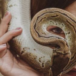 karaoke,Die, Die My Darling,Metallica,backing track,instrumental,playback,mp3,lyrics,sing along,singing,cover,karafun,karafun karaoke,Metallica karaoke,karafun Metallica,Die, Die My Darling karaoke,karaoke Die, Die My Darling,karaoke Metallica Die, Die My Darling,karaoke Die, Die My Darling Metallica,Metallica Die, Die My Darling karaoke,Die, Die My Darling Metallica karaoke,Die, Die My Darling lyrics,Die, Die My Darling cover,