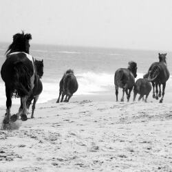 karaoke,Fire Lake,Bob Seger,backing track,instrumental,playback,mp3,lyrics,sing along,singing,cover,karafun,karafun karaoke,Bob Seger karaoke,karafun Bob Seger,Fire Lake karaoke,karaoke Fire Lake,karaoke Bob Seger Fire Lake,karaoke Fire Lake Bob Seger,Bob Seger Fire Lake karaoke,Fire Lake Bob Seger karaoke,Fire Lake lyrics,Fire Lake cover,