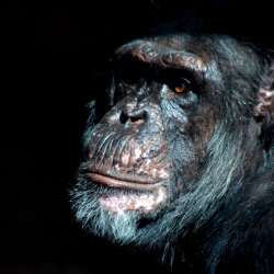 karaoke,Another Postcard (Chimps),Barenaked Ladies,backing track,instrumental,playback,mp3,lyrics,sing along,singing,cover,karafun,karafun karaoke,Barenaked Ladies karaoke,karafun Barenaked Ladies,Another Postcard (Chimps) karaoke,karaoke Another Postcard (Chimps),karaoke Barenaked Ladies Another Postcard (Chimps),karaoke Another Postcard (Chimps) Barenaked Ladies,Barenaked Ladies Another Postcard (Chimps) karaoke,Another Postcard (Chimps) Barenaked Ladies karaoke,Another Postcard (Chimps) lyrics,Another Postcard (Chimps) cover,