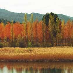 karaoke,Mama He's Crazy,The Judds,backing track,instrumental,playback,mp3,lyrics,sing along,singing,cover,karafun,karafun karaoke,The Judds karaoke,karafun The Judds,Mama He's Crazy karaoke,karaoke Mama He's Crazy,karaoke The Judds Mama He's Crazy,karaoke Mama He's Crazy The Judds,The Judds Mama He's Crazy karaoke,Mama He's Crazy The Judds karaoke,Mama He's Crazy lyrics,Mama He's Crazy cover,