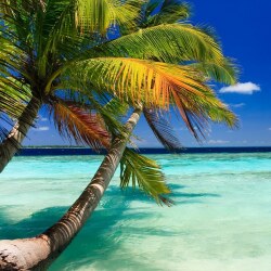 karaoke,Almost Jamaica,The Bellamy Brothers,backing track,instrumental,playback,mp3,lyrics,sing along,singing,cover,karafun,karafun karaoke,The Bellamy Brothers karaoke,karafun The Bellamy Brothers,Almost Jamaica karaoke,karaoke Almost Jamaica,karaoke The Bellamy Brothers Almost Jamaica,karaoke Almost Jamaica The Bellamy Brothers,The Bellamy Brothers Almost Jamaica karaoke,Almost Jamaica The Bellamy Brothers karaoke,Almost Jamaica lyrics,Almost Jamaica cover,