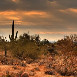 karaoke,If That Ain't Country (clean),David Allan Coe,backing track,instrumental,playback,mp3,lyrics,sing along,singing,cover,karafun,karafun karaoke,David Allan Coe karaoke,karafun David Allan Coe,If That Ain't Country (clean) karaoke,karaoke If That Ain't Country (clean),karaoke David Allan Coe If That Ain't Country (clean),karaoke If That Ain't Country (clean) David Allan Coe,David Allan Coe If That Ain't Country (clean) karaoke,If That Ain't Country (clean) David Allan Coe karaoke,If That Ain't Country (clean) lyrics,If That Ain't Country (clean) cover,