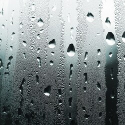 karaoke,Blue Eyes Crying in the Rain,Willie Nelson,backing track,instrumental,playback,mp3,lyrics,sing along,singing,cover,karafun,karafun karaoke,Willie Nelson karaoke,karafun Willie Nelson,Blue Eyes Crying in the Rain karaoke,karaoke Blue Eyes Crying in the Rain,karaoke Willie Nelson Blue Eyes Crying in the Rain,karaoke Blue Eyes Crying in the Rain Willie Nelson,Willie Nelson Blue Eyes Crying in the Rain karaoke,Blue Eyes Crying in the Rain Willie Nelson karaoke,Blue Eyes Crying in the Rain lyrics,Blue Eyes Crying in the Rain cover,