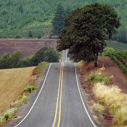 karaoke,The Old Man Down the Road,John Fogerty,backing track,instrumental,playback,mp3,lyrics,sing along,singing,cover,karafun,karafun karaoke,John Fogerty karaoke,karafun John Fogerty,The Old Man Down the Road karaoke,karaoke The Old Man Down the Road,karaoke John Fogerty The Old Man Down the Road,karaoke The Old Man Down the Road John Fogerty,John Fogerty The Old Man Down the Road karaoke,The Old Man Down the Road John Fogerty karaoke,The Old Man Down the Road lyrics,The Old Man Down the Road cover,